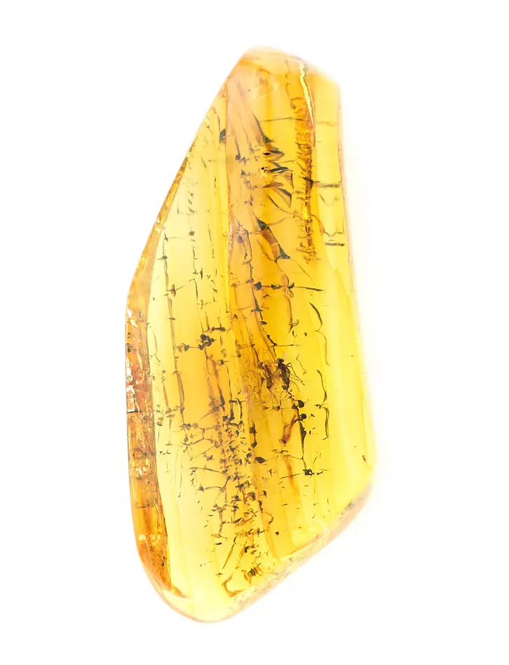 картинка Кусочек натурального балтийского янтаря лимонного цвета с инклюзами двух мошек в онлайн магазине