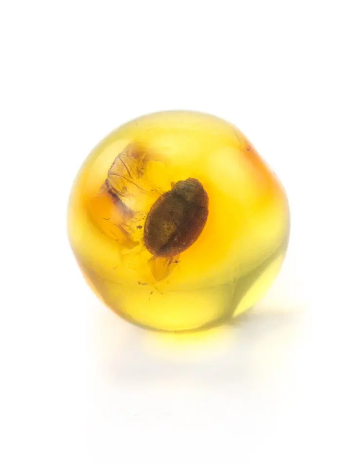 картинка Небольшой сувенир-шарик из прозрачного лимонного янтаря с инклюзом жучка в онлайн магазине