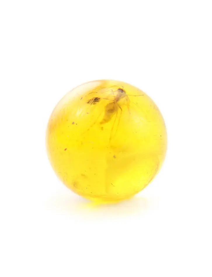 картинка Прозрачный янтарный шарик с инклюзом «Мошка» в онлайн магазине