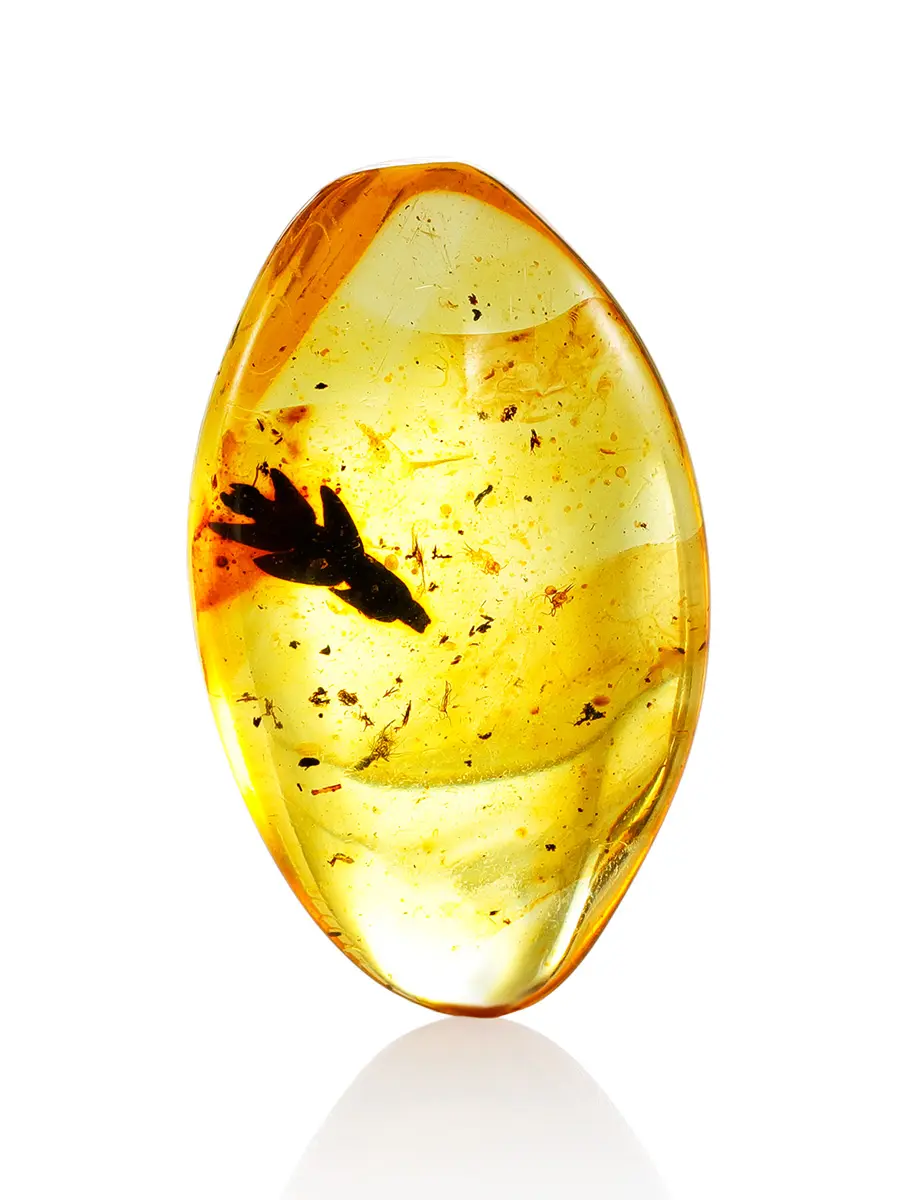 картинка Кусочек натурального балтийского янтаря с уникальным растительным инклюзом в онлайн магазине
