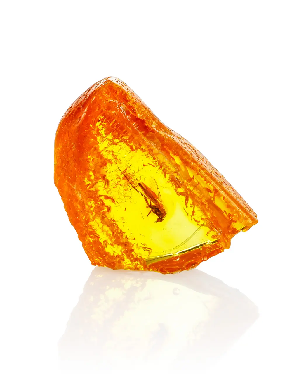картинка Натуральный янтарь с инклюзом в сувенирном боксе в онлайн магазине