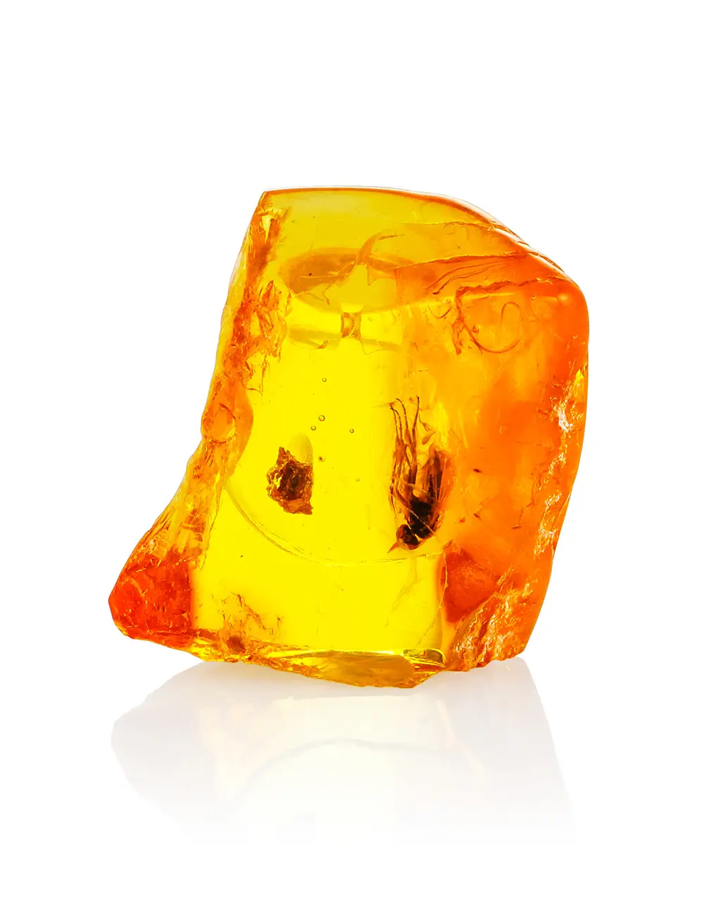 картинка Прозрачный сувенирный янтарь с включением доисторической мухи в онлайн магазине