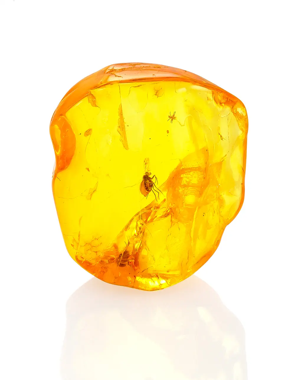 картинка Янтарь с инклюзом в декоративной демонстрационной стойке в онлайн магазине