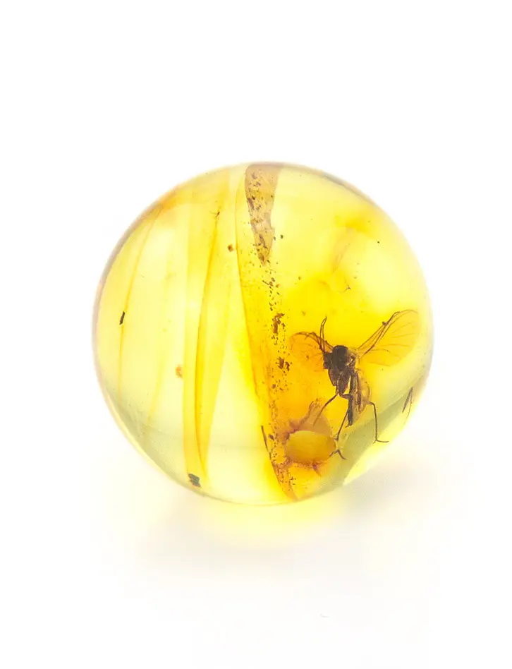 картинка Сувенир-шарик из прозрачного лимонного янтаря с включением мошки в онлайн магазине