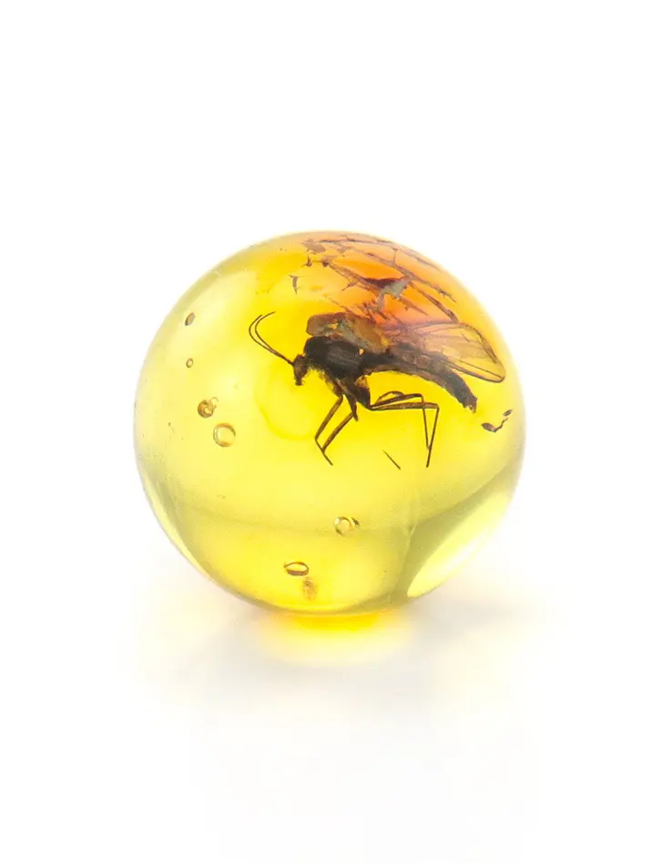 картинка Небольшой сувенир-шарик из прозрачного коньячного янтаря с инклюзом насекомого в онлайн магазине