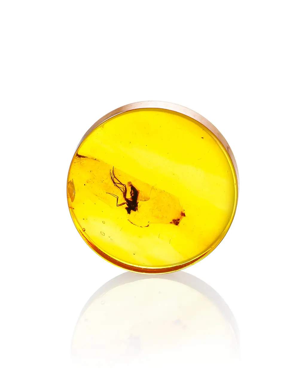 картинка Натуральный янтарь с инклюзом насекомого в боксе с увеличительным стеклом в онлайн магазине