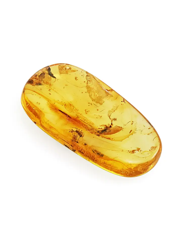картинка Плоский кусочек натурального балтийского лимонного янтаря с инклюзом в онлайн магазине