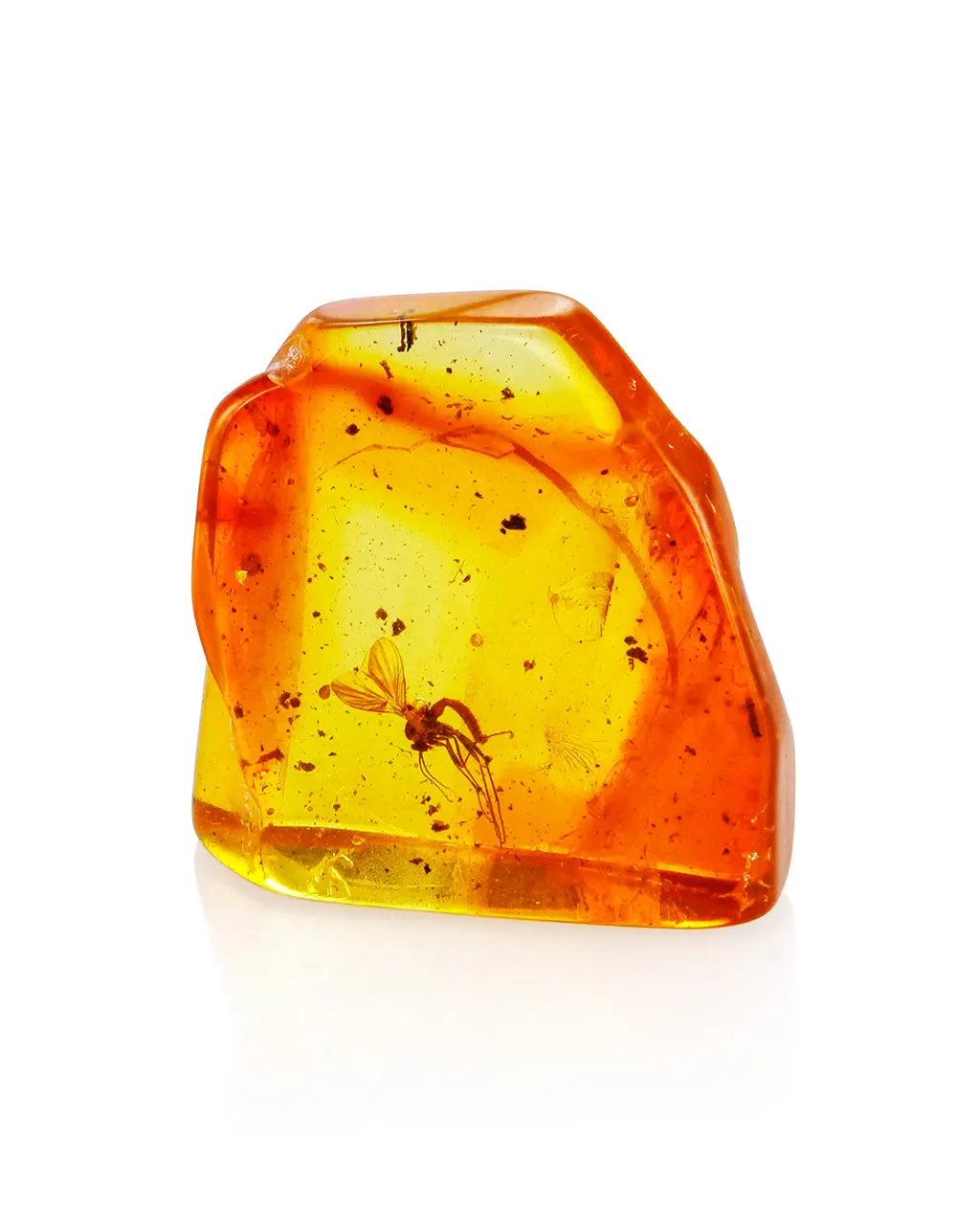 картинка Кусочек натурального балтийского янтаря с инклюзом комарика в онлайн магазине