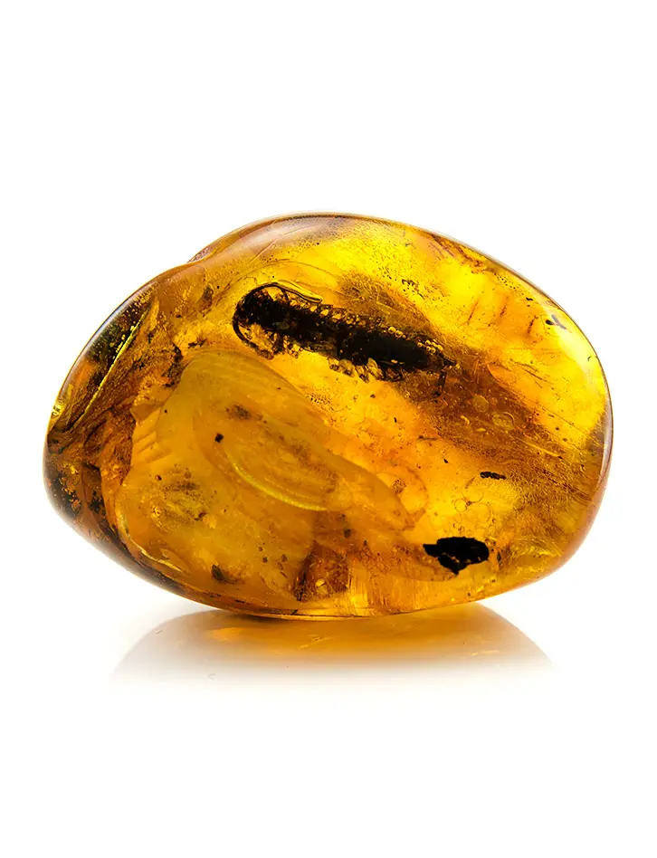 картинка Уникальный кусочек натурального янтаря с крупным инклюзом насекомого в онлайн магазине