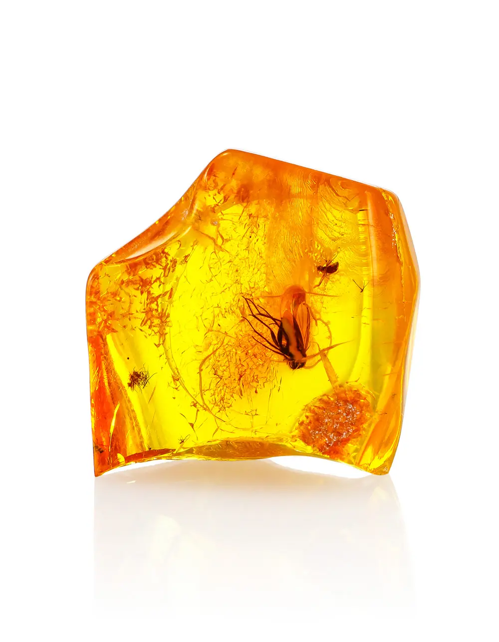 картинка Кусочек натурального янтаря с инклюзами в боксе с лупой в онлайн магазине