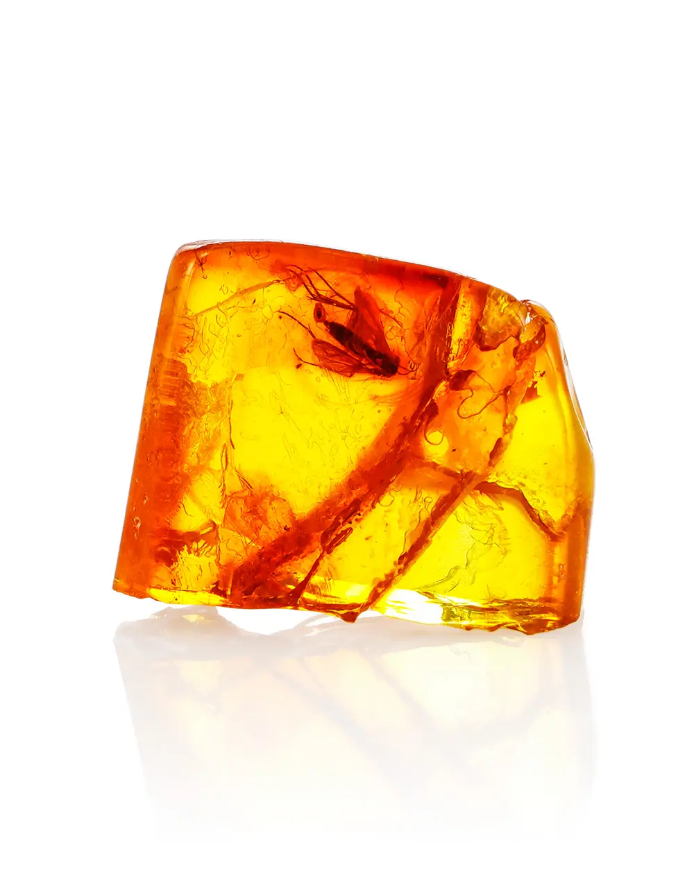 картинка Натуральный балтийский янтарь с инклюзом насекомого в онлайн магазине