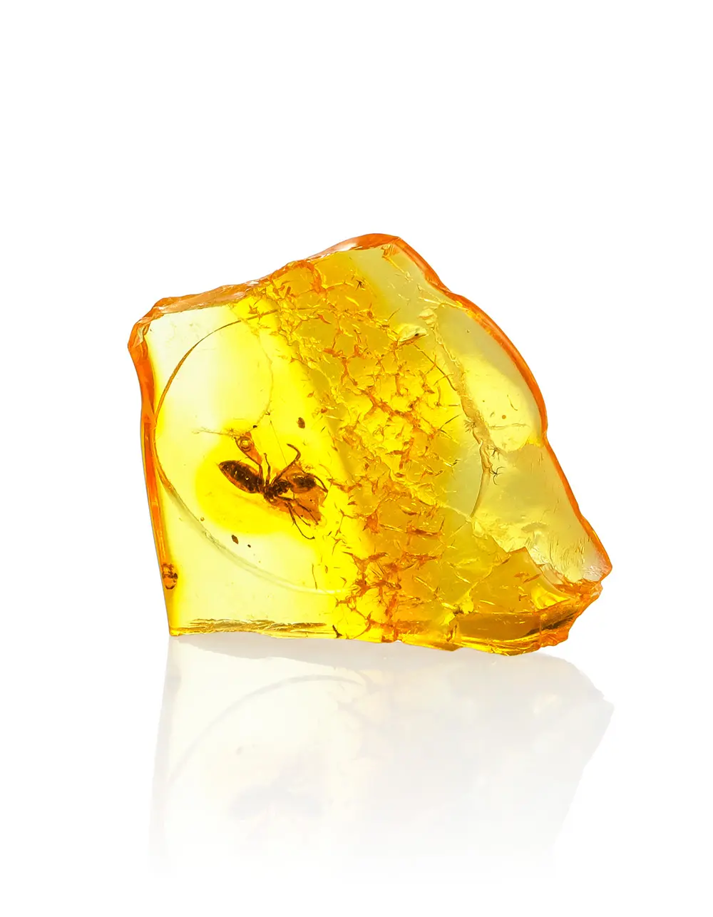 картинка Сувенирный кусочек натурального янтаря с инклюзом муравья в онлайн магазине
