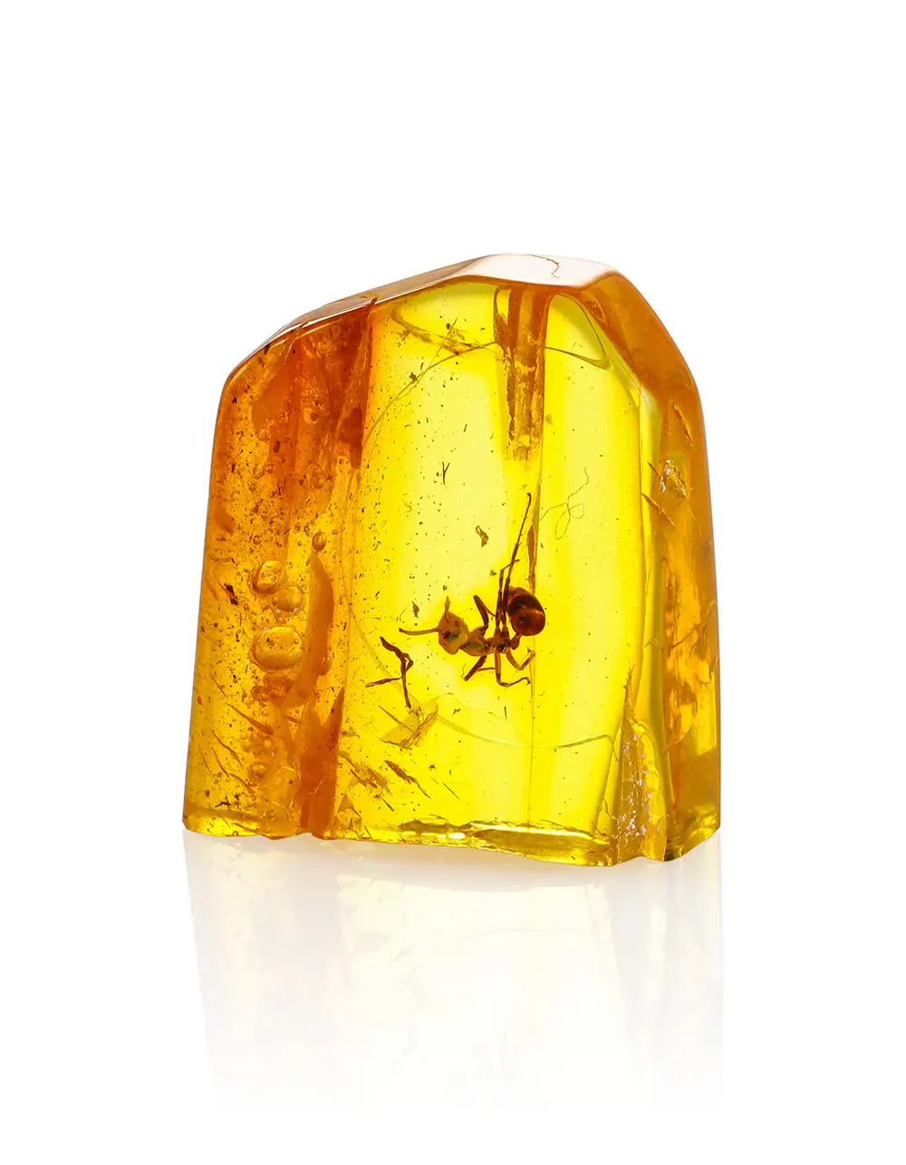 картинка Сувенирный балтийский янтарь с инклюзом муравья в боксе с линзой в онлайн магазине
