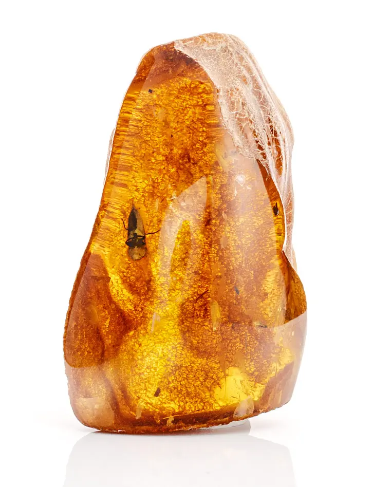картинка Крупный кусочек натурального балтийского янтаря с инклюзом насекомого в онлайн магазине