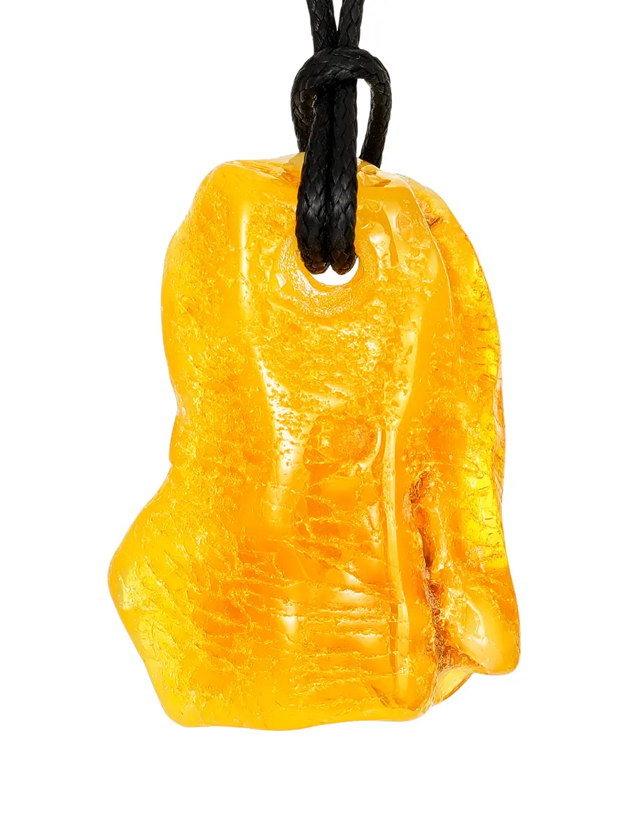 картинка Янтарный кулон уникальной природной формы в онлайн магазине