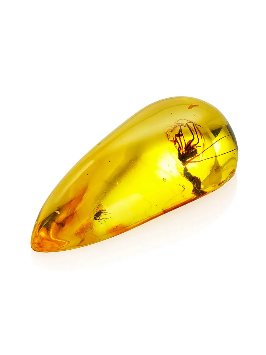 картинка Натуральный прозрачный янтарь лимонного цвета с инклюзами в онлайн магазине