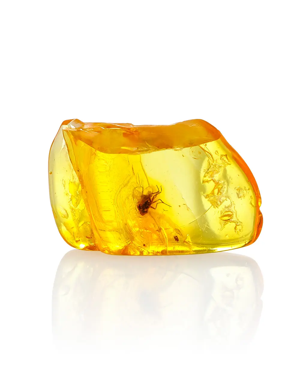 картинка Кусочек балтийского янтаря золотистого оттенка с включением насекомого в онлайн магазине