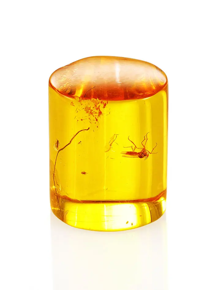 картинка Сувенир из натурального янтаря «Цилиндр с насекомыми» в онлайн магазине