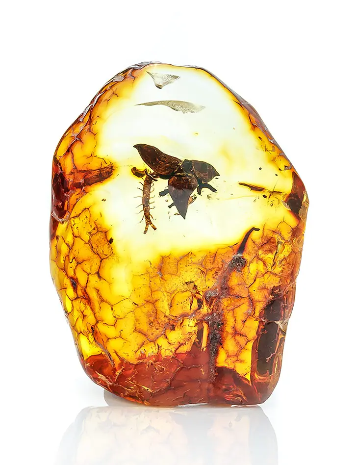 картинка Балтийский янтарь с редчайшим инклюзом цветка и включениями доисторических насекомых в онлайн магазине