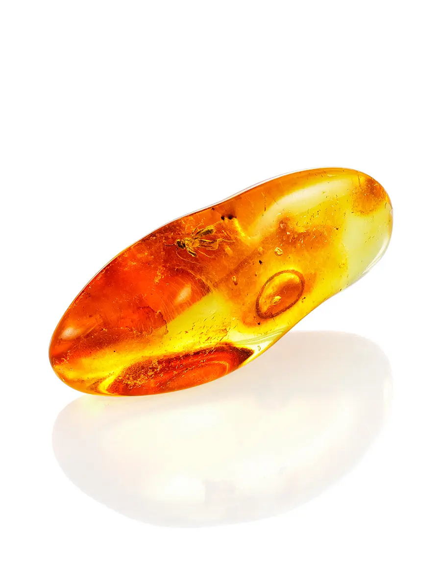 картинка Удлинённый кусочек натурального балтийского янтаря лимонного цвета с инклюзом мушки в онлайн магазине