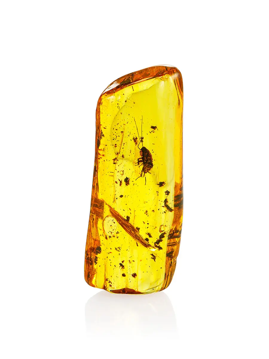 картинка Натуральный янтарь с инклюзом в онлайн магазине
