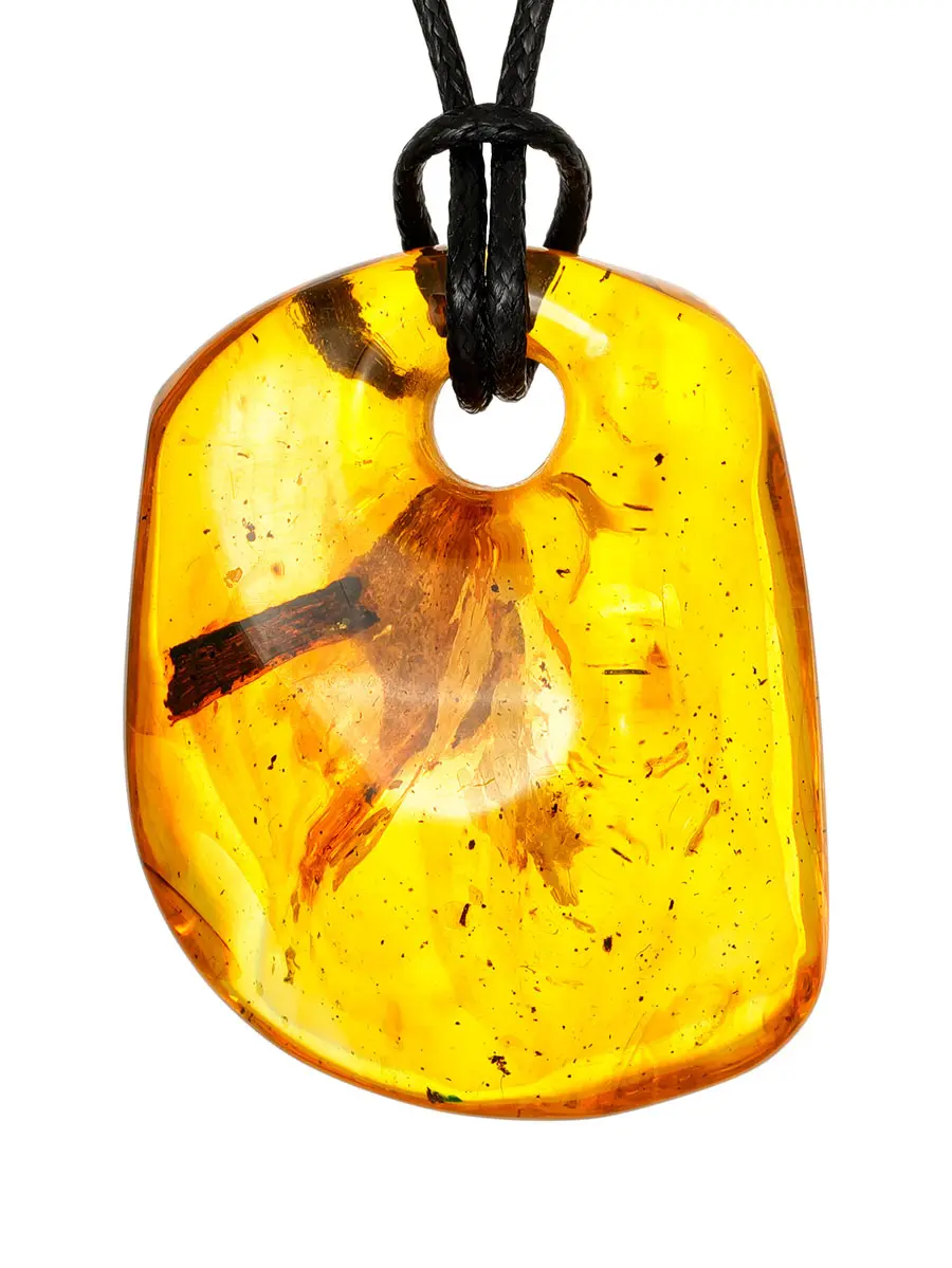 картинка Подвеска из цельного кусочка янтаря природной формы с растительным инклюзом в онлайн магазине