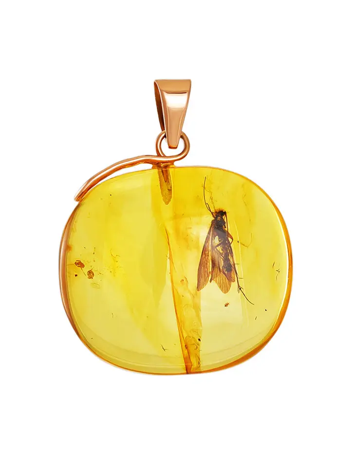 картинка Кулон из натурального янтаря с крупным инклюзом и золота 585 пробы «Клио» в онлайн магазине