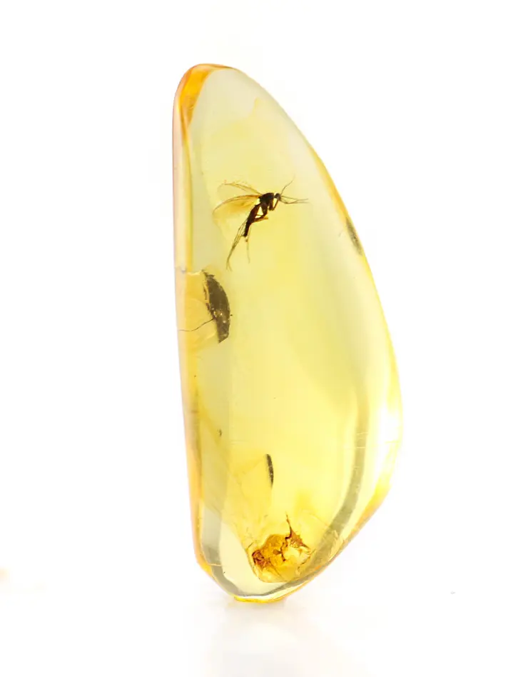 картинка Натуральный прозрачный лимонный янтарь с инклюзом в онлайн магазине