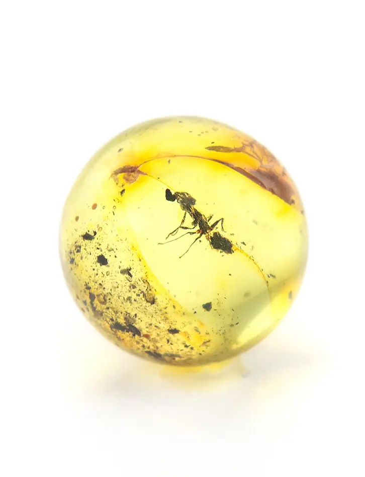 картинка Небольшой сувенир-шарик из прозрачного лимонного янтаря с инклюзом муравья в онлайн магазине