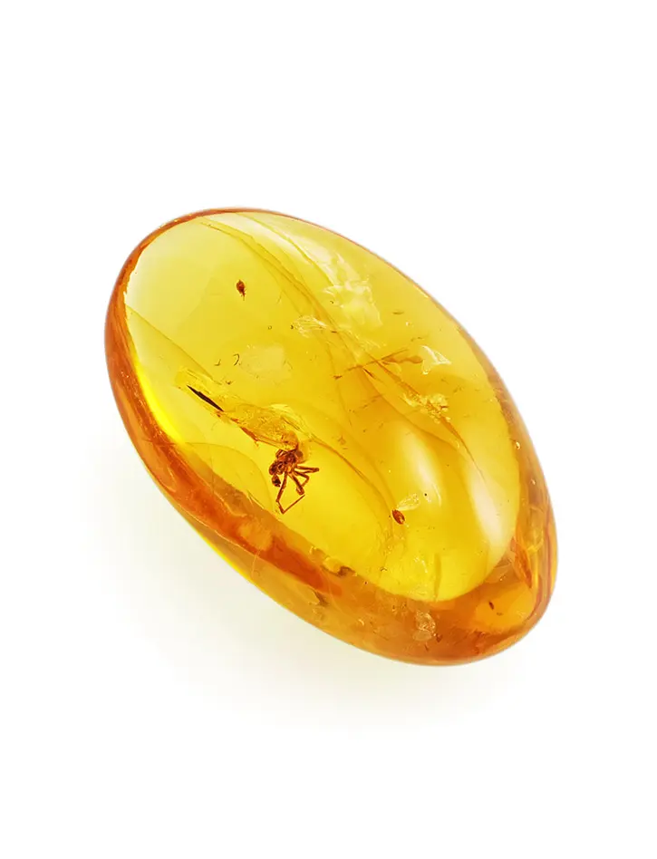 картинка Глянцевый кусочек янтаря лимонного цвета с инклюзом паучка в онлайн магазине