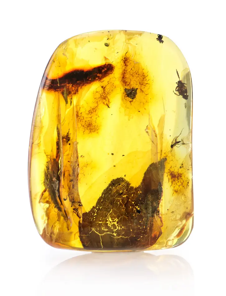 картинка Крупный кусочек натурального балтийского янтаря с инклюзами насекомых в онлайн магазине