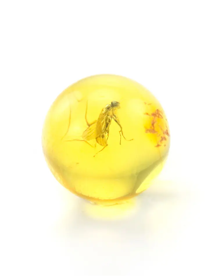 картинка Небольшой сувенир-шарик из прозрачного лимонного янтаря с инклюзом мошки в онлайн магазине