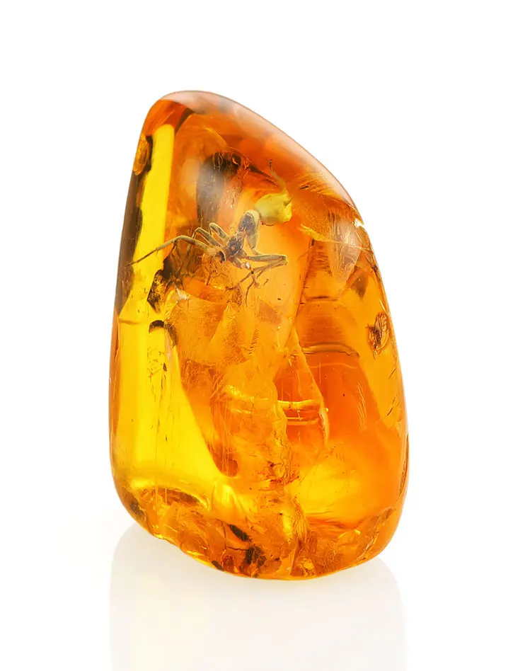 картинка Натуральный янтарь с уникальным инклюзом доисторического насекомого в онлайн магазине