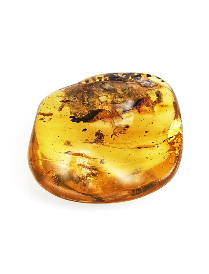 картинка Прозрачный сувенирный янтарь с включением крупного насекомого в онлайн магазине