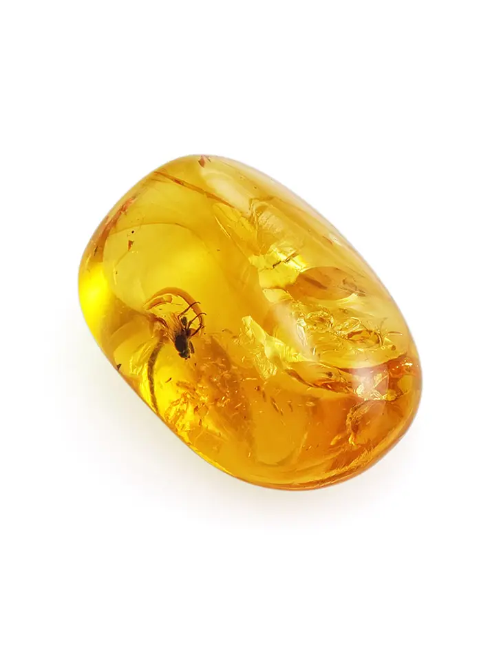 картинка Натуральный прозрачный янтарь золотистого цвета с инклюзом мухи в онлайн магазине