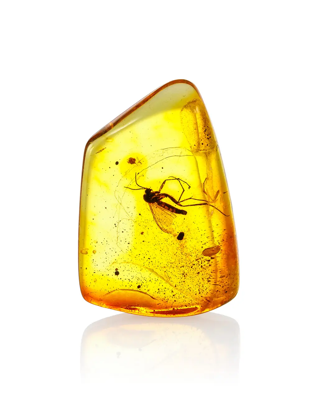 картинка Кусочек янтаря с инклюзом в коробочке с увеличительным стеклом в онлайн магазине