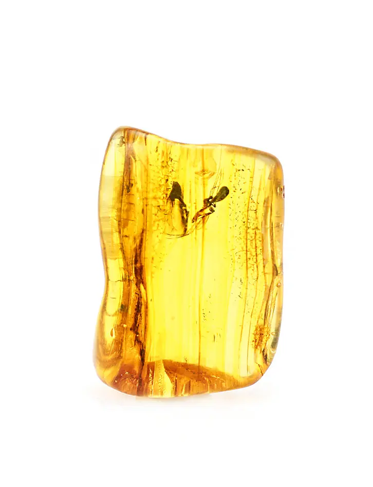 картинка Полупрозрачный прямоугольный кусочек янтаря с инклюзом «Муравьи» в онлайн магазине
