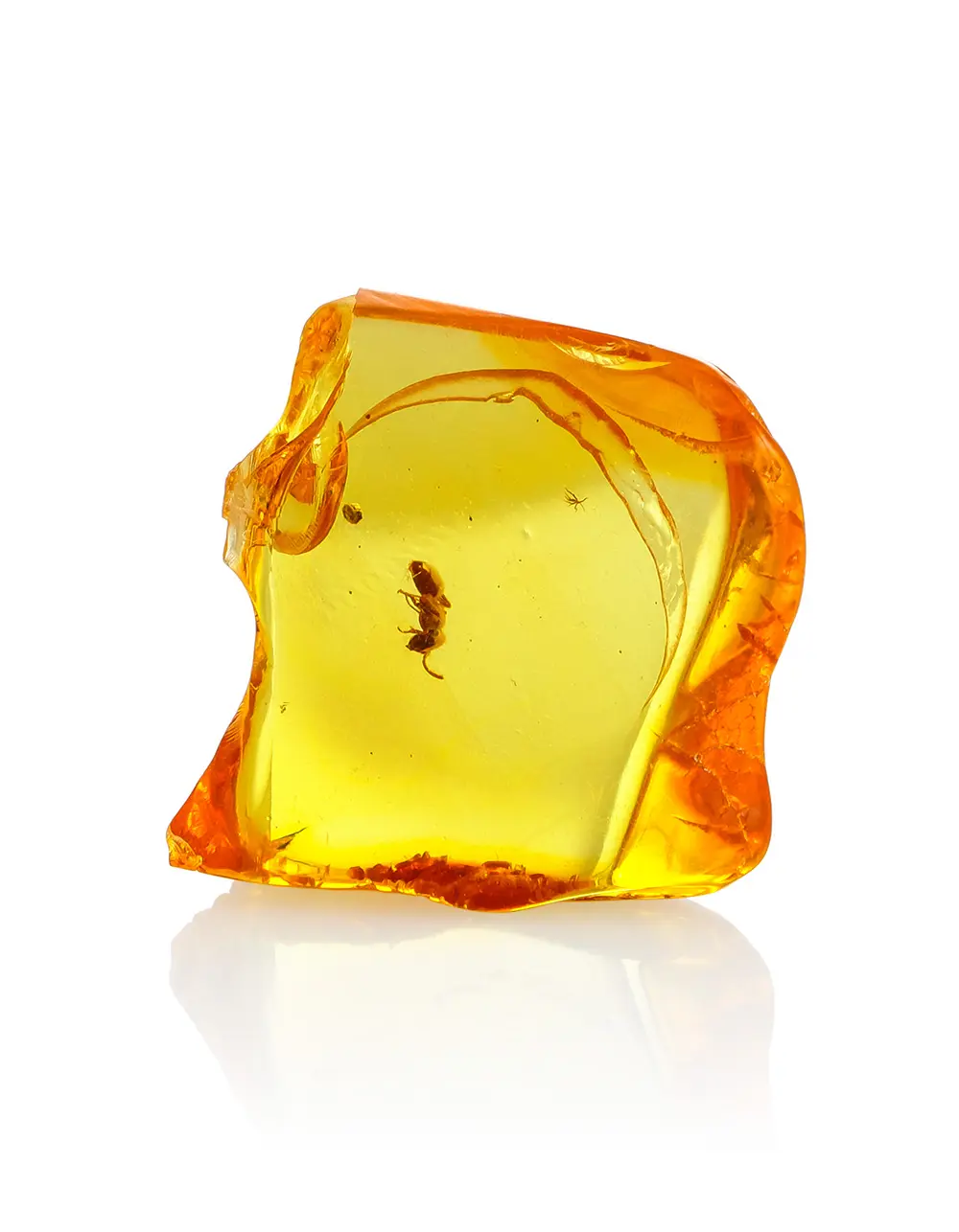 картинка Сувенирный прозрачный янтарь с инклюзом муравья в коробке с линзой в онлайн магазине