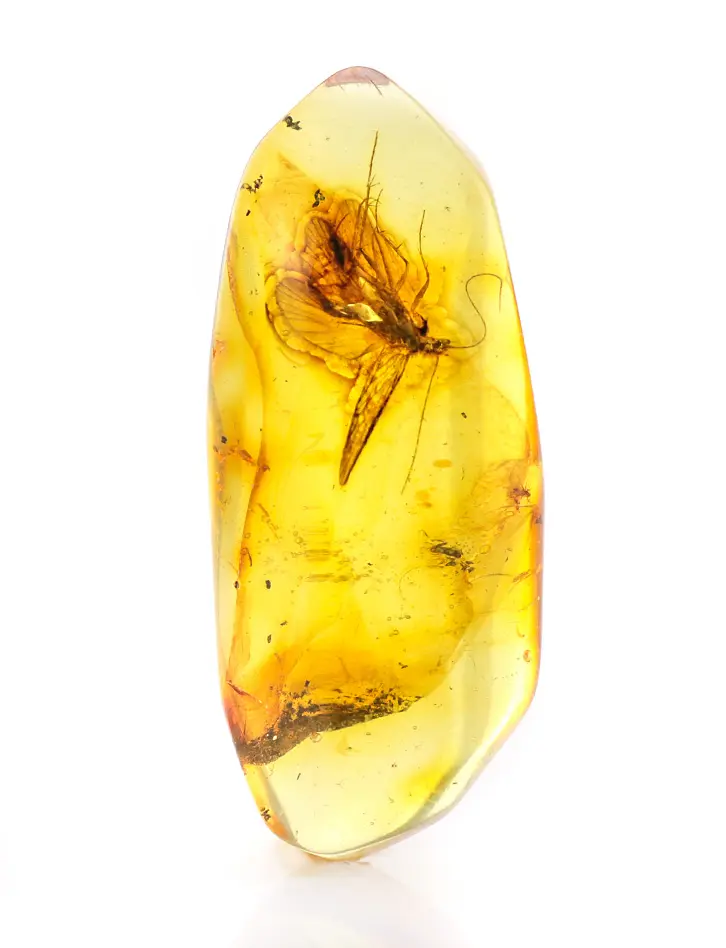 картинка Маленький прозрачный кусочек янтаря с крупным включением доисторической мухи в онлайн магазине