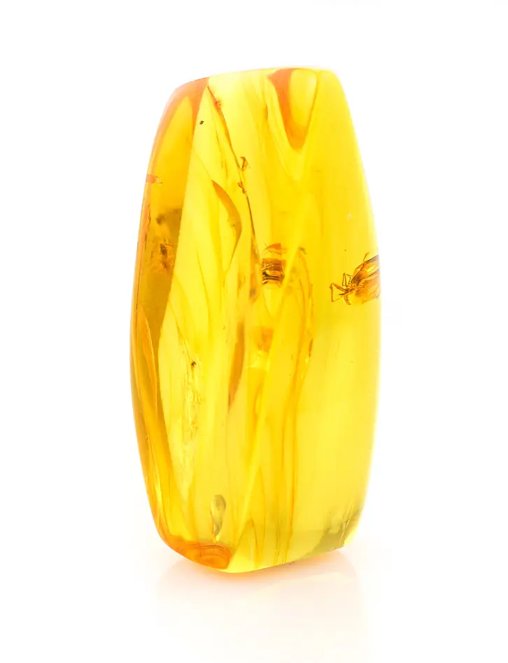 картинка Крупный кусочек натурального балтийского янтаря лимонного цвета с включениями насекомых в онлайн магазине