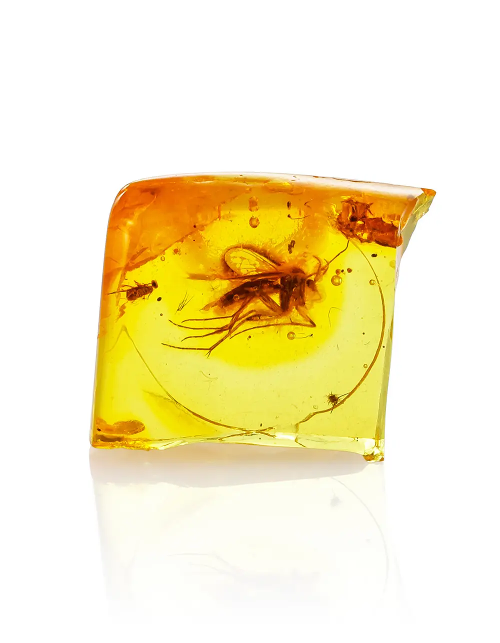 картинка Сувенирный янтарь с инклюзом насекомого в боксе в онлайн магазине