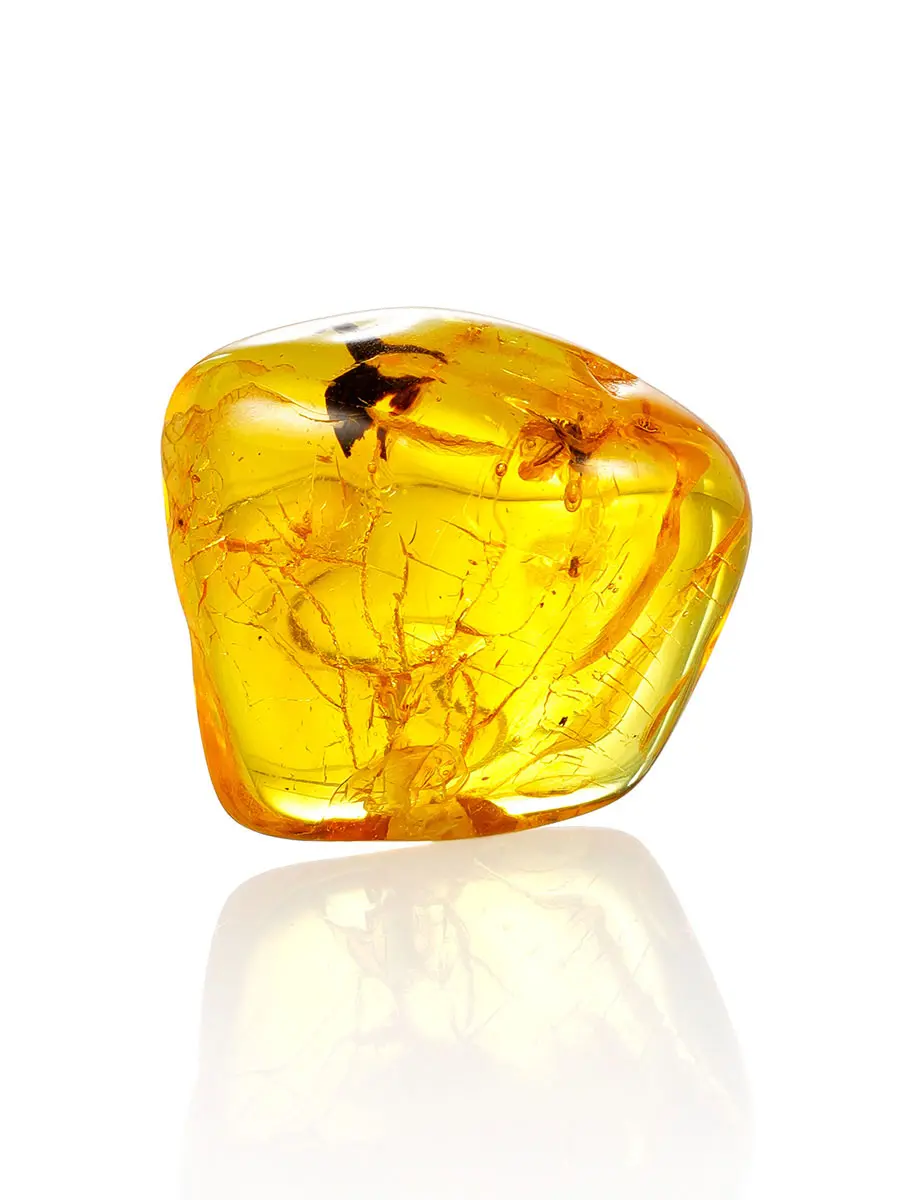 картинка Прозрачный глянцевый янтарь с крупным инклюзом «Муха» в онлайн магазине
