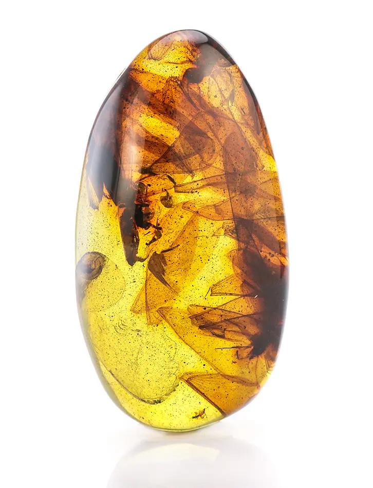 картинка Сувенирный кусочек натурального колумбийского янтаря с инклюзами насекомых в онлайн магазине