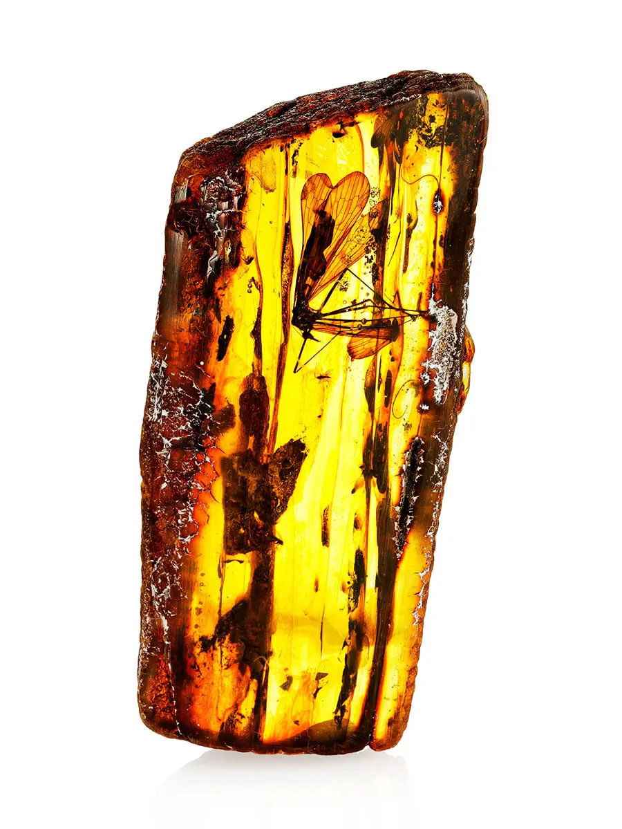 картинка Натуральный балтийский янтарь с крупным инклюзом «Комар» в онлайн магазине